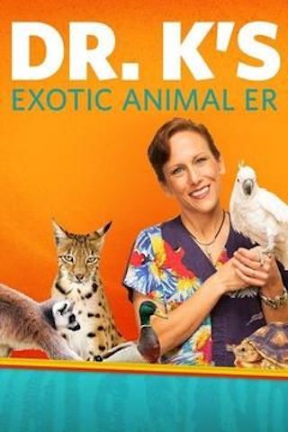 Dr. K's Exotic Animal ER: Gloves Off!